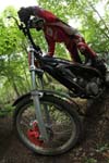 BRYK6911
