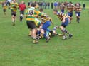 IMG_1962