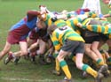 IMG_1817