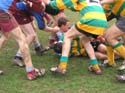 IMG_1853