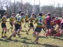IMG_1272