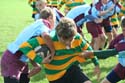 IMG_5800