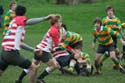 IMG_3800