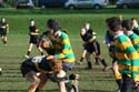 IMG_7796