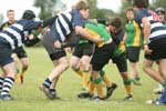IMG_4810