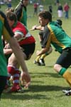 IMG_5322