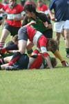 IMG_5335