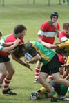 IMG_5404