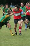 IMG_5456