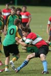 IMG_5488