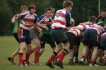 IMG_6021