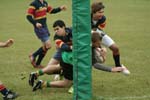 IMG_8015