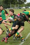 IMG_8182