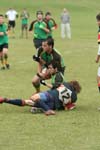 IMG_8410