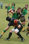 IMG_8478