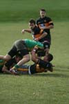 IMG_8861