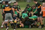 IMG_8939