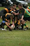 IMG_9090