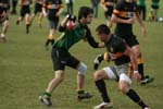 IMG_9110