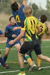 IMG_1366