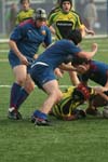IMG_1444