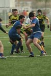IMG_1468