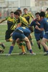 IMG_1470