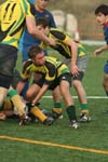 IMG_1499