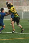 IMG_1516