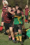 IMG_5821