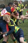 IMG_6733