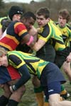 IMG_6734