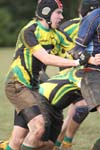 IMG_0129