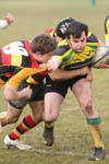 IMG_1335