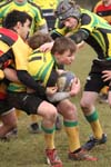 IMG_1410