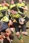 IMG_1414