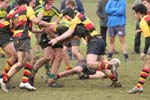 IMG_1504