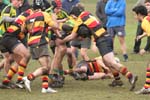 IMG_1505