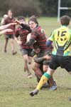 IMG_2552