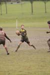 IMG_2617