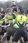 IMG_4421