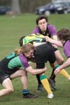 IMG_6451