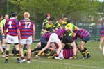 IMG_0145