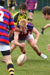 IMG_0414