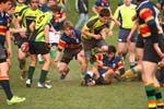 IMG_0601