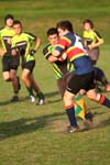 IMG_0607