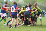 IMG_0646