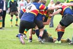 IMG_0661