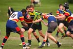 IMG_0684