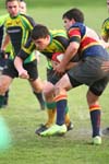 IMG_0771